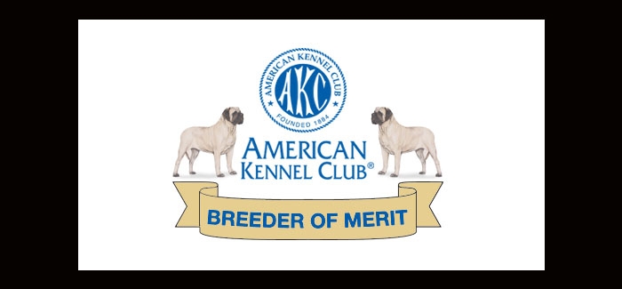 We are AKC Breeders of Merit!!